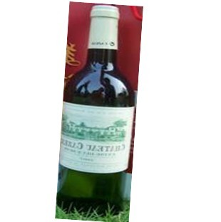 加索城堡干白 CHATEAU CAZEAU white 2009