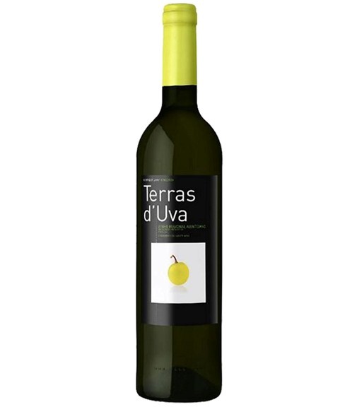 伊娃干白葡萄酒Terras d’Uva Branco